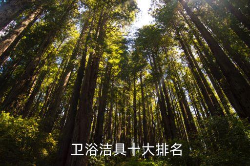 國際大牌衛(wèi)浴,國人應(yīng)該知道的衛(wèi)浴品牌有哪些?