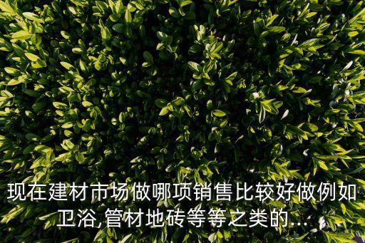現(xiàn)在建材市場做哪項銷售比較好做例如衛(wèi)浴,管材地磚等等之類的...