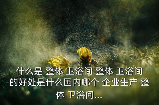 整體衛(wèi)浴間企業(yè),泉州整體衛(wèi)浴有限公司推出櫥柜衛(wèi)生間