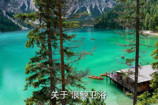 關(guān)于 浪鯨衛(wèi)浴