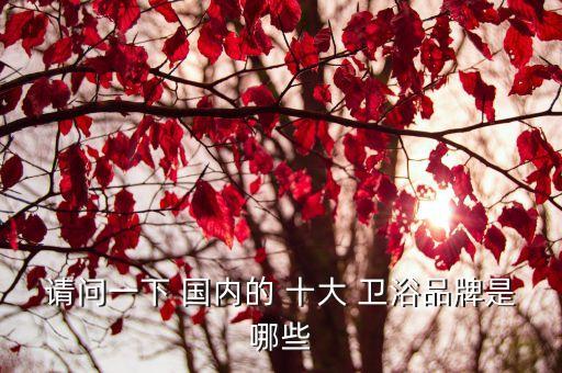 國內(nèi)十大衛(wèi)浴品牌,中國衛(wèi)浴十大品牌上市比國外差不了多少