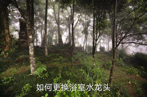 衛(wèi)浴如何把水管取下,如何在水龍頭上安裝扳手?步驟如下