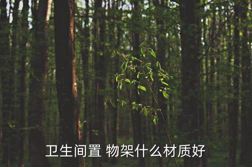 衛(wèi)生間置 物架什么材質(zhì)好