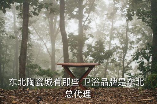 東北陶瓷城有那些 衛(wèi)浴品牌是東北 總代理