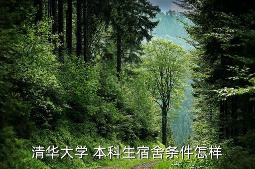 本科衛(wèi)浴價(jià)格 圖片,中國藝術(shù)學(xué)院:本科宿舍有冷氣和淋浴