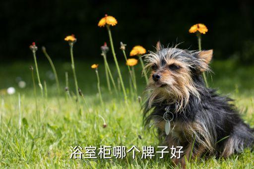浴室柜哪個(gè)牌子好
