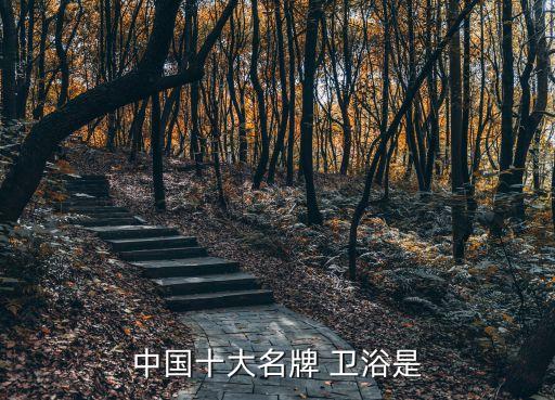 中國十大名牌 衛(wèi)浴是