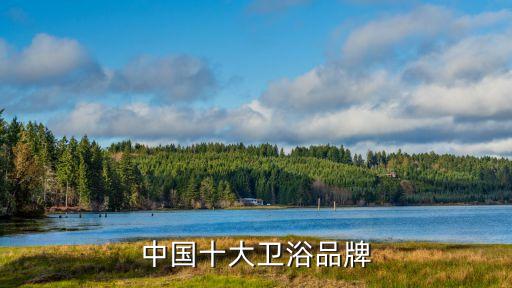 九牧衛(wèi)浴河南總代理,選購時注意什么?衛(wèi)生用品