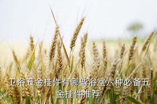  衛(wèi)浴五金掛件有哪些浴室六種必備五金掛件推薦