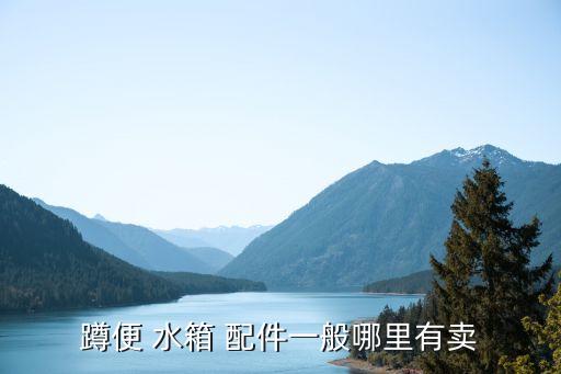 廈門衛(wèi)浴水箱配件,衛(wèi)生間沖水按鈕怎么保養(yǎng)?