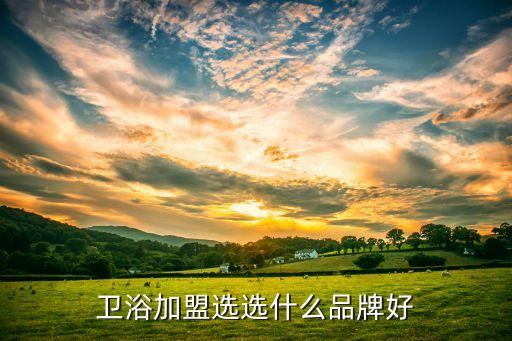 衛(wèi)浴加盟選選什么品牌好