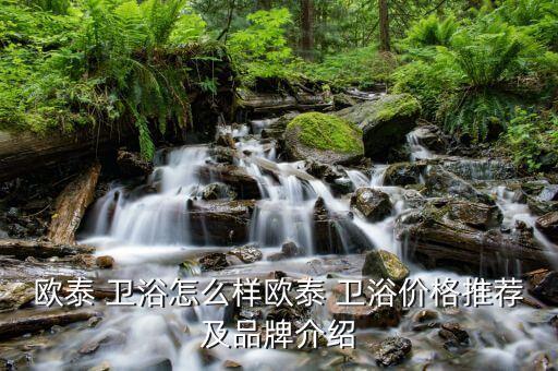 歐泰 衛(wèi)浴怎么樣歐泰 衛(wèi)浴價格推薦及品牌介紹