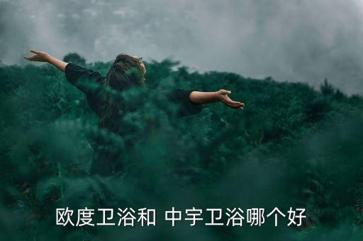 歐度衛(wèi)浴和 中宇衛(wèi)浴哪個好
