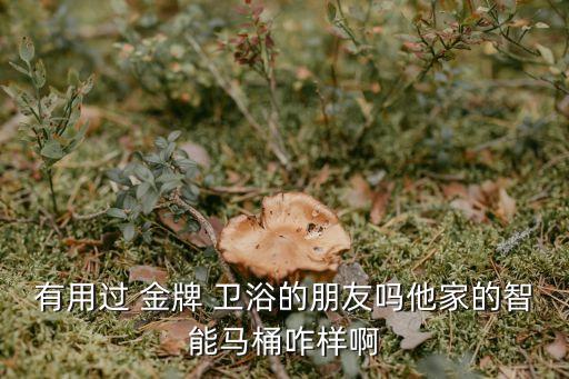 金牌衛(wèi)浴坐便器價格,2020年十大智能馬桶品牌