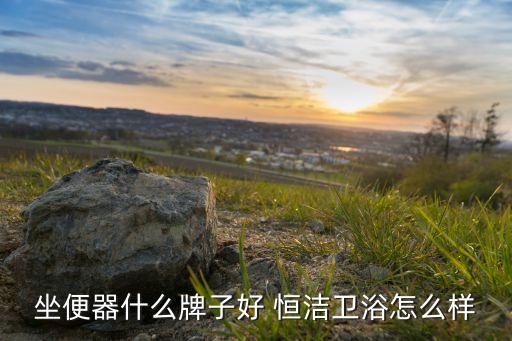 坐便器什么牌子好 恒潔衛(wèi)浴怎么樣