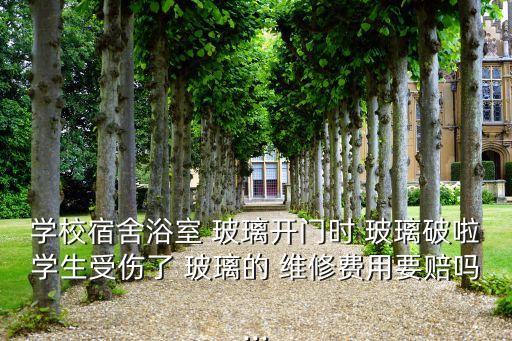 學(xué)校宿舍浴室 玻璃開門時(shí) 玻璃破啦學(xué)生受傷了 玻璃的 維修費(fèi)用要賠嗎...