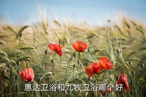 洛陽惠達(dá)衛(wèi)浴銷售地址,惠達(dá)馬桶推向大市場成為衛(wèi)浴行業(yè)佼佼者