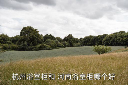 河南衛(wèi)浴,杭州浴室柜質(zhì)量好款式多樣售后服務(wù)也跟進(jìn)