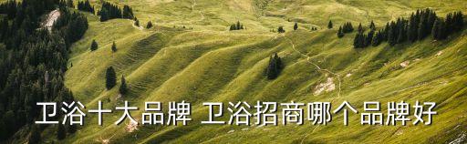 衛(wèi)浴十大品牌 衛(wèi)浴招商哪個(gè)品牌好