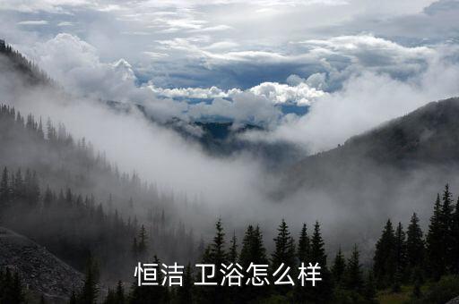 衛(wèi)浴資料,中國十大衛(wèi)浴品牌之恒杰