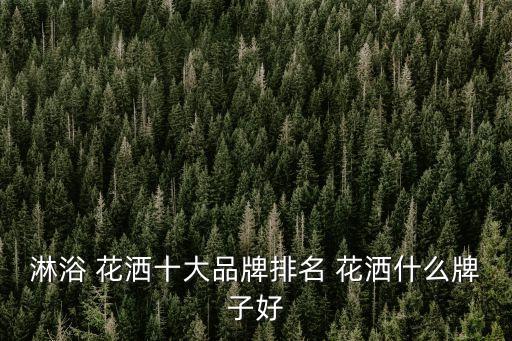 淋浴 花灑十大品牌排名 花灑什么牌子好