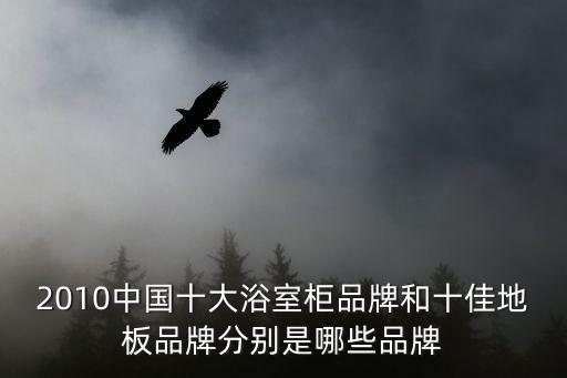 2010中國十大浴室柜品牌和十佳地板品牌分別是哪些品牌
