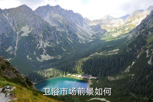衛(wèi)浴的行業(yè)規(guī)則,衛(wèi)生是什么行業(yè)?看這里!