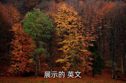 展示的 英文