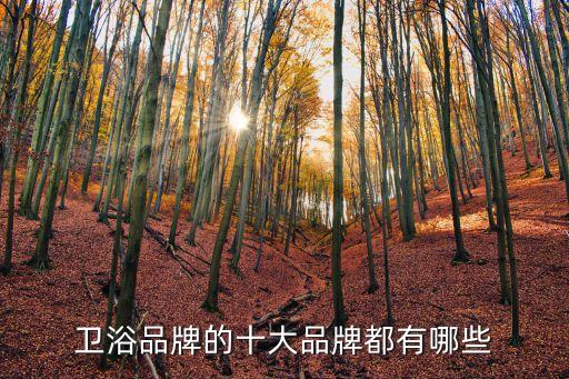 安華衛(wèi)浴掛件,選購衛(wèi)浴產(chǎn)品應(yīng)注意以下幾個方面