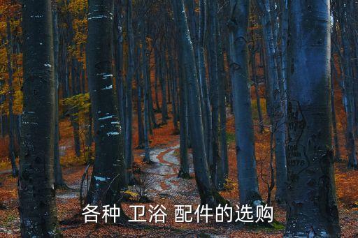 各種 衛(wèi)浴 配件的選購