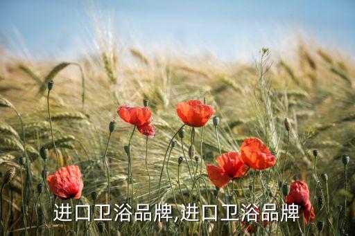 進(jìn)口衛(wèi)浴品牌,進(jìn)口衛(wèi)浴品牌