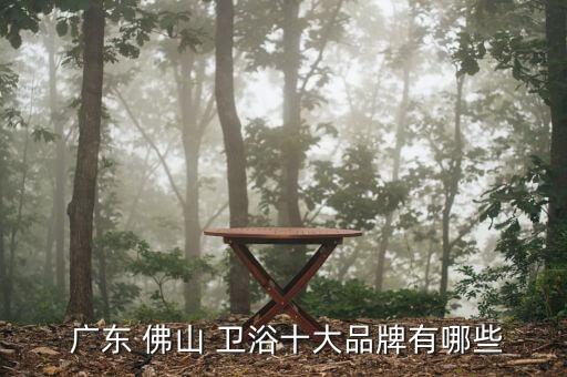  廣東 佛山 衛(wèi)浴十大品牌有哪些
