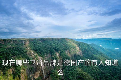 尚高衛(wèi)浴智能,衛(wèi)生知名品牌排行榜:尚高衛(wèi)浴是榜上有名的