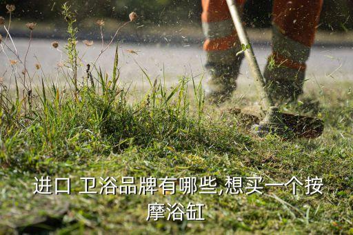 德國進(jìn)口高端衛(wèi)浴品牌,現(xiàn)有衛(wèi)浴品牌比較適合國人!