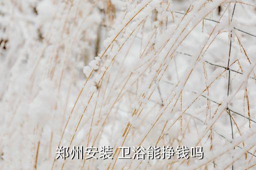  鄭州安裝 衛(wèi)浴能掙錢嗎