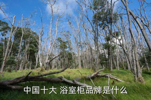 銀晶衛(wèi)浴浴室柜,電鍍毛巾架不能接觸空氣否則會長包漿