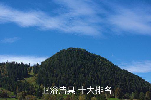 衛(wèi)浴頂級十大,如何挑選好的衛(wèi)浴產(chǎn)品?