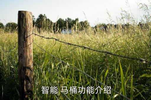  智能 馬桶功能介紹
