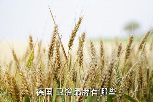 潔具衛(wèi)浴 進(jìn)口品牌,如何選擇合適的衛(wèi)浴產(chǎn)品?