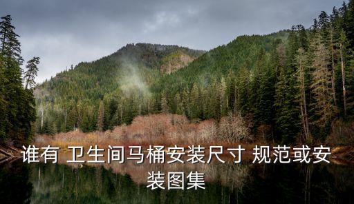 誰有 衛(wèi)生間馬桶安裝尺寸 規(guī)范或安裝圖集