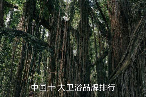廈門市水大衛(wèi)浴,中國(guó)衛(wèi)浴產(chǎn)品最齊全廠商之一生產(chǎn)浴室柜