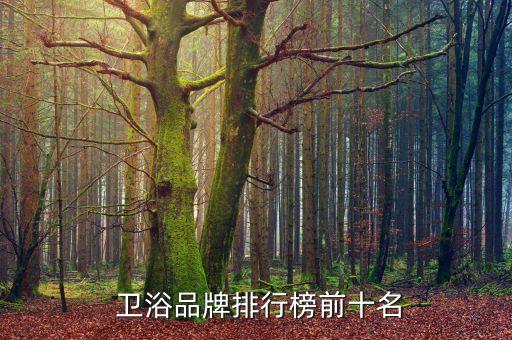 宜來衛(wèi)浴品牌排名,衛(wèi)浴十大品牌排名僅供參考