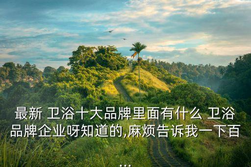 最新 衛(wèi)浴十大品牌里面有什么 衛(wèi)浴品牌企業(yè)呀知道的,麻煩告訴我一下百...