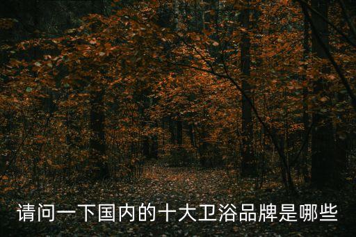 中宇衛(wèi)浴網(wǎng),三大衛(wèi)浴品牌推介:歐美和中宇衛(wèi)生質(zhì)量較好