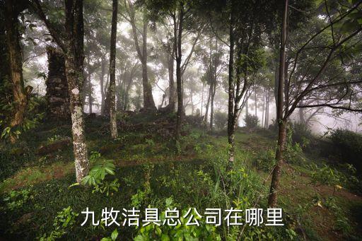 北京九牧王衛(wèi)浴專賣店,牛仔褲-九牧王有限公司擁有自有品牌