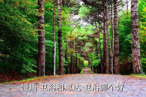 2015年恒潔衛(wèi)浴銷量,惠達(dá)衛(wèi)浴是中國綜合衛(wèi)浴的標(biāo)準(zhǔn)制定者