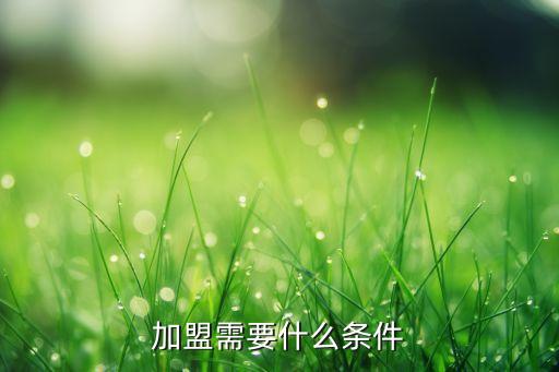 加盟需要什么條件