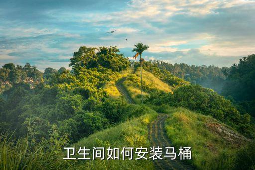 安華衛(wèi)浴安裝工,安裝馬桶注意事項(xiàng):