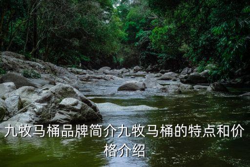 九牧衛(wèi)浴線上線下同步,九牧馬桶知多少?問與答（20）