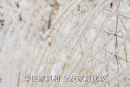 華臣家具和 全友家具比較